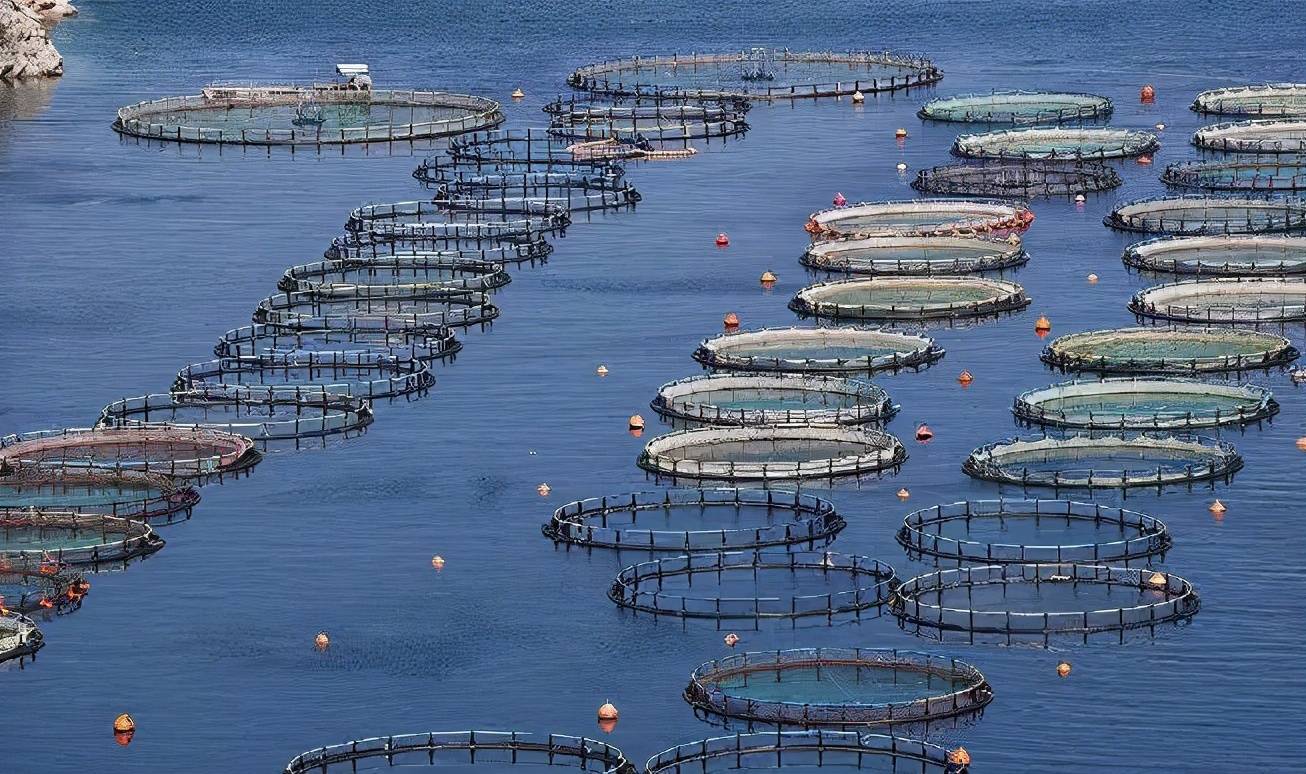 我國(guó)水產(chǎn)養(yǎng)殖業(yè)面臨的挑戰(zhàn)與病害防治發(fā)展趨勢(shì)