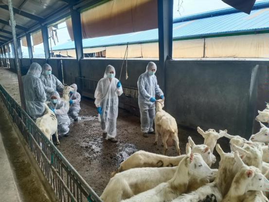 千陽(yáng)縣畜產(chǎn)局再獲省級(jí)榮譽(yù)，產(chǎn)業(yè)興旺助力鄉(xiāng)村振興